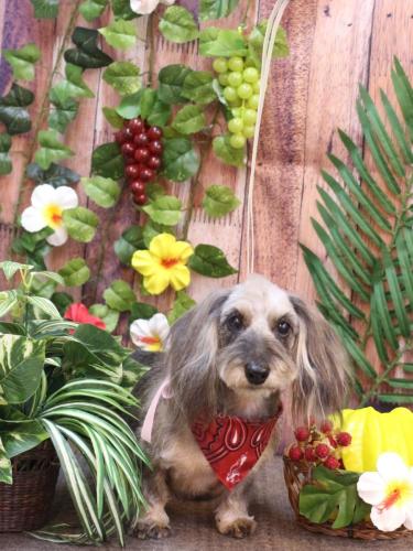 20230806ののちゃん